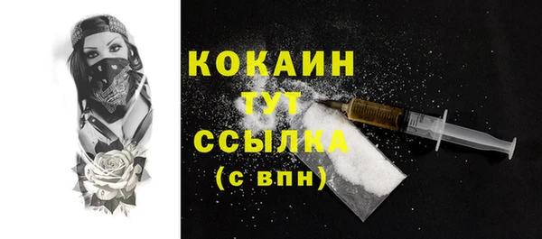 spice Лагань