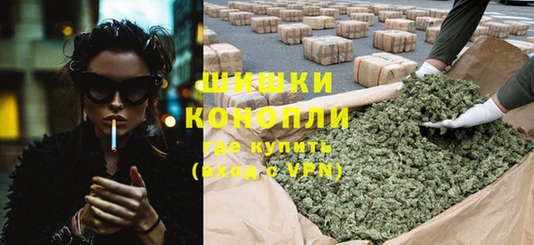 дживик Ладушкин
