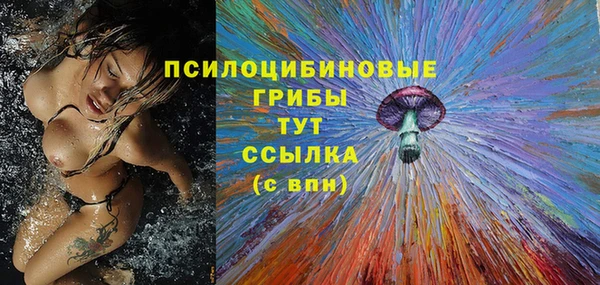 дживик Ладушкин