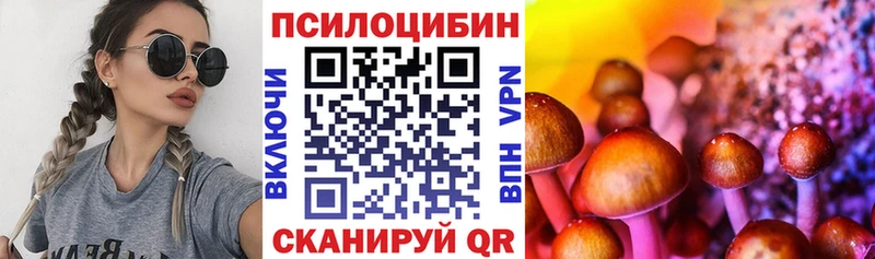 Псилоцибиновые грибы Psilocybe Подпорожье