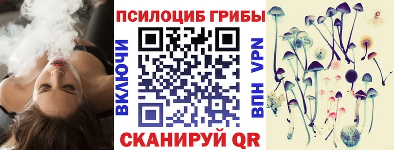 купить   ОМГ ОМГ ТОР  Псилоцибиновые грибы прущие грибы  Подпорожье 